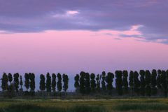 07-IMG_2843