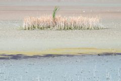 10-IMG_1584