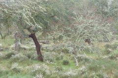 15-DSC09000-001-1920p