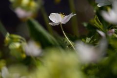 02-6Z2A2570_DxO-1920p