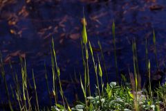 24-6Z2A2690_DxO-1920p