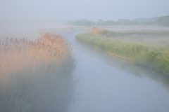 Jan-Albert-Hellings_0012_Diessens-broek