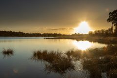 de-50-van-Koen-vd-Ven-01