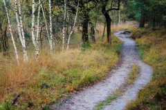 de-50-van-Koen-vd-Ven-10