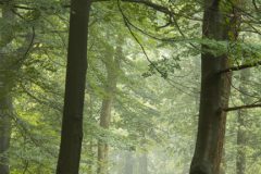 de-50-van-Koen-vd-Ven-11