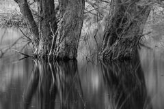 de-50-van-Koen-vd-Ven-13