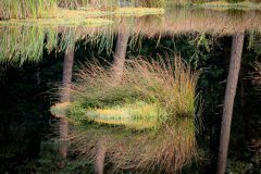 de-50-van-Koen-vd-Ven-14