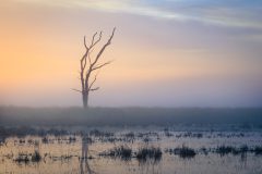 de-50-van-Koen-vd-Ven-15