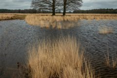 de-50-van-Koen-vd-Ven-16