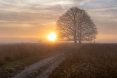 de-50-van-Koen-vd-Ven-17