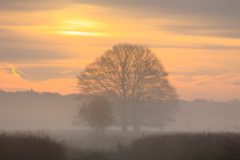 de-50-van-Koen-vd-Ven-18