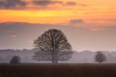 de-50-van-Koen-vd-Ven-19