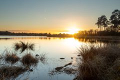 de-50-van-Koen-vd-Ven-02