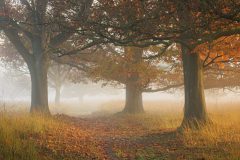 de-50-van-Koen-vd-Ven-20