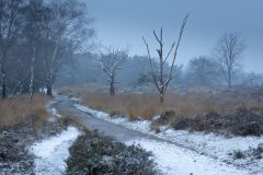 de-50-van-Koen-vd-Ven-25