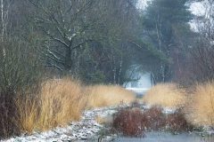 de-50-van-Koen-vd-Ven-26