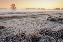 de-50-van-Koen-vd-Ven-28