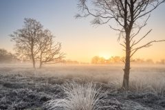 de-50-van-Koen-vd-Ven-29