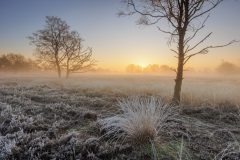 de-50-van-Koen-vd-Ven-30