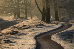 de-50-van-Koen-vd-Ven-32