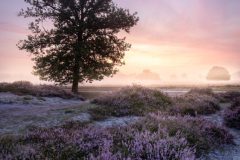 de-50-van-Koen-vd-Ven-34