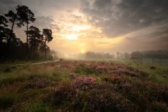 de-50-van-Koen-vd-Ven-36