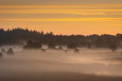 de-50-van-Koen-vd-Ven-04