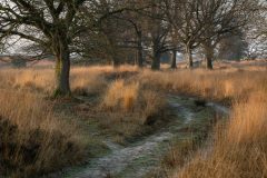 de-50-van-Koen-vd-Ven-40