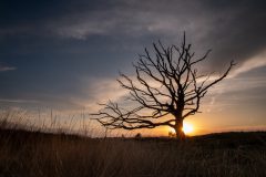 de-50-van-Koen-vd-Ven-41