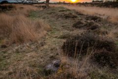 de-50-van-Koen-vd-Ven-42