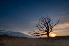 de-50-van-Koen-vd-Ven-43