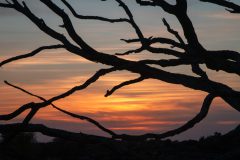 de-50-van-Koen-vd-Ven-44