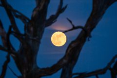 de-50-van-Koen-vd-Ven-45