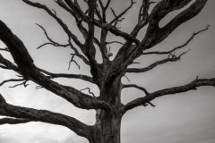 de-50-van-Koen-vd-Ven-47