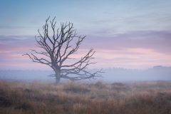 de-50-van-Koen-vd-Ven-48