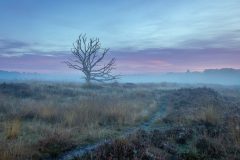 de-50-van-Koen-vd-Ven-49