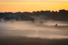 de-50-van-Koen-vd-Ven-05