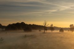 de-50-van-Koen-vd-Ven-06