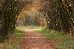 de-50-van-Koen-vd-Ven-07