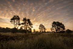 de-50-van-Koen-vd-Ven-09