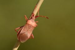 DSC-v-_4301