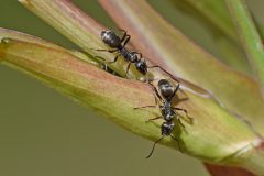 DSC-v-_4354