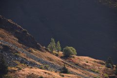 DSC-v-_4914