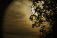 MAH_Avondlandschap_DSC7577