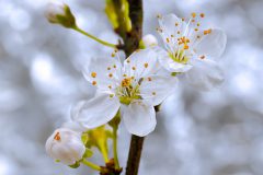 0401_M-Achterberg_Nieuw-begin_1041179_2025
