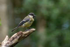 07_Presentatie_M.Achterberg_2026-9