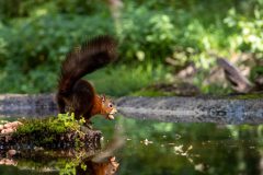 10_Presentatie_M.Achterberg_2026-12