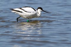 12_Presentatie_M.Achterberg_2026-15