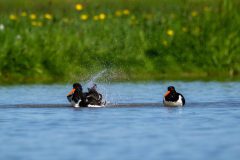 14_Presentatie_M.Achterberg_2026-17