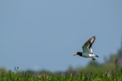 15_Presentatie_M.Achterberg_2026-18